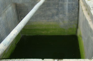 tank for formulation of nishakar